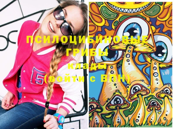 ECSTASY Абаза