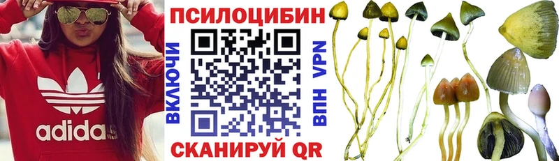это формула  hydra вход  Магадан  Псилоцибиновые грибы MAGIC MUSHROOMS 