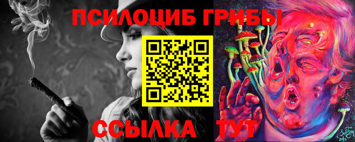 Магадан  Псилоцибиновые грибы прущие грибы  Вход с VPN  Галлюциногенные грибы GOLDEN TEACHER 
